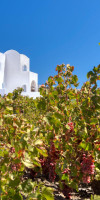 Blanca Luxury Villa