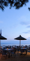 Blue Dolphin Hotel Chalkidiki