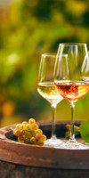 BORDEAUX - In vino veritas! PREMIUM TOURS