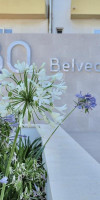 BQ BELVEDERE