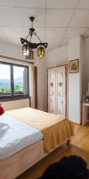 Bran Belvedere International