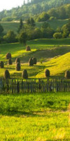 Bucovina, Maramures si Transilvania