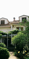 Budva Center Apartments