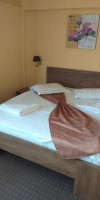 Cabana Fulg de Nea