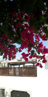 Calçada Guesthouse