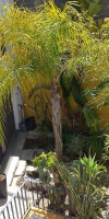 Calçada Guesthouse