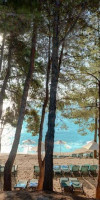 CANDIA PARK VILLAGE