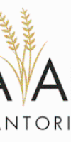 Casa Arista