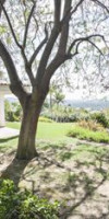 Casa da Alfarrobeira by My Choice Algarve