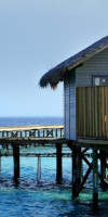 Centara Ras Fushi Resort and Spa Maldives - Adults Only