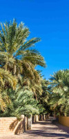 CIRCUIT EMIRATELE ARABE UNITE & OMAN