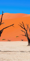 Circuit si Safari Namibia