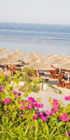 Cleopatra Luxury Resort Sharm - Adults Only