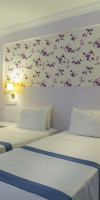 LION HOTEL