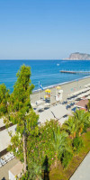 Tomato - Skiathos Town