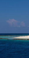 Coco Bodu Hithi