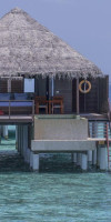 Coco Bodu Hithi