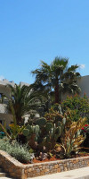 Cooee Kyknos Beach Hotel
