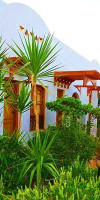 Ferrer Lime Tamarindos