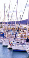 Cordial Marina Blanca