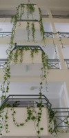 Corina Suites and Apartments