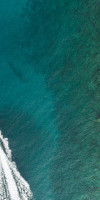 DAIOS COVE