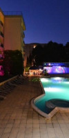 Dana Palace