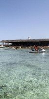Dar Jerba Narjess