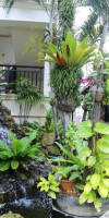 Deevana Patong Resort & Spa