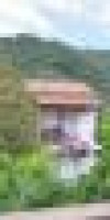 Delphi