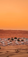 Desert Nights Camp