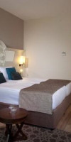 Olive Grove Studios & Apartments