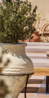 Diana Suites