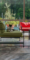 Dionysos Hotel