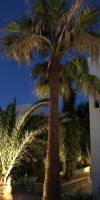 Dragonfly Villas