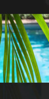 Dreams Cap Cana Resort & Spa