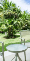 Dreams Tulum Resort & Spa