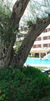 Elea Beach Hotel