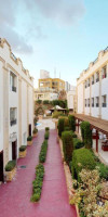 FALCON NAAMA STAR