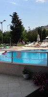 Zorii Zilei