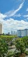 Four Points by Sheraton Singapore, Riverview