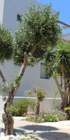 Galazio Beach Resort