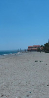 GERONA MARE