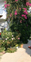 GORGONA MEDHOTELS