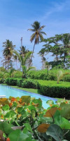 Serenade Punta Cana Beach & Spa Resort