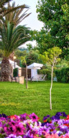 Dias by Azul Collection
