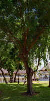 Sandies Tropical Village