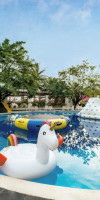 Grand Oasis Palm