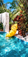Grand Oasis Palm