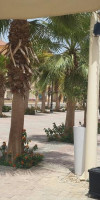 Gravity Sahl Hasheesh ex Ocean Breeze